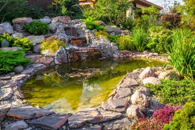 Naturalistic Pool Concepts
